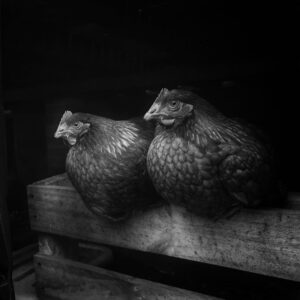 Stephane Milbank
