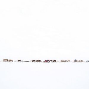 Oded Wagenstein